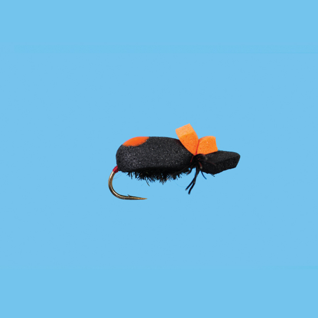 Solitude Beetle