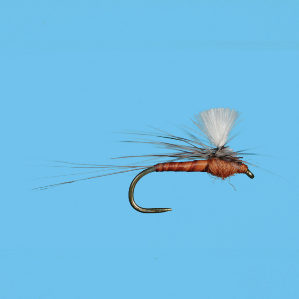CDC Parachute Spinner, Rusty
