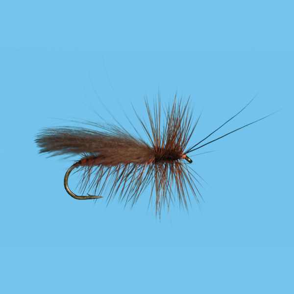CDC Salmon Fly Adult
