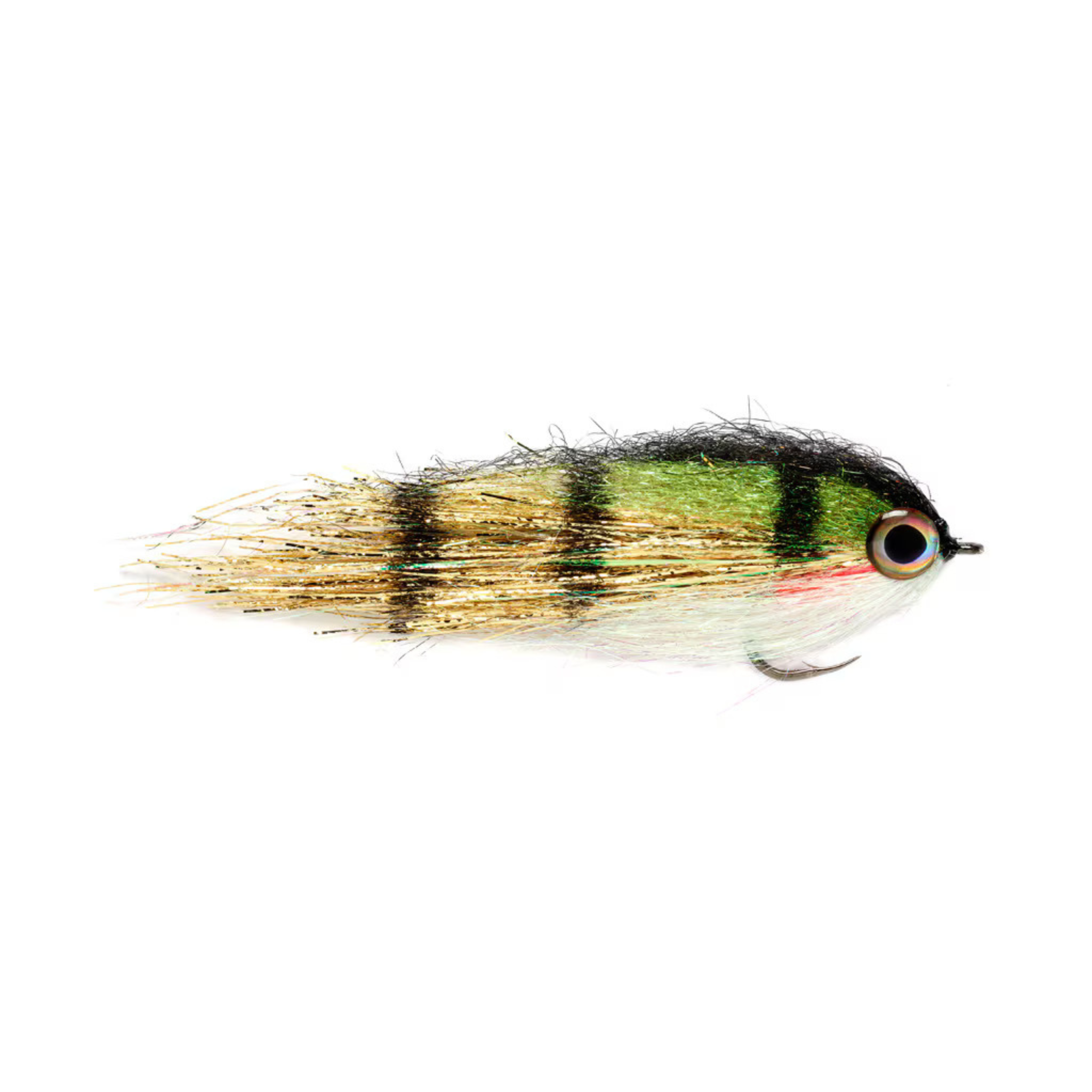 Clydesdale Golden Perch
