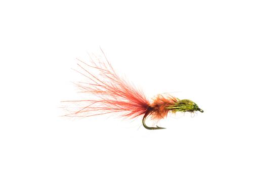ZT Damsel Leech #14