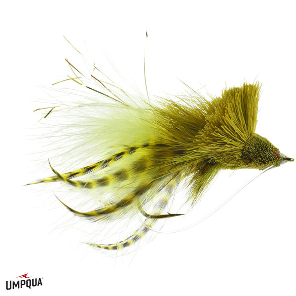 Dahlberg's Diving Bug Frog