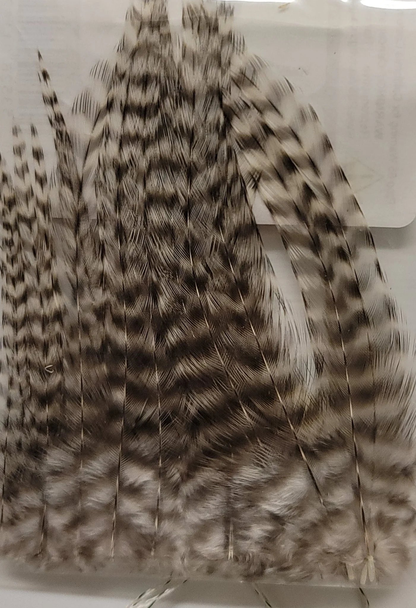 Dry Fly Neck Hackle Mini Pack