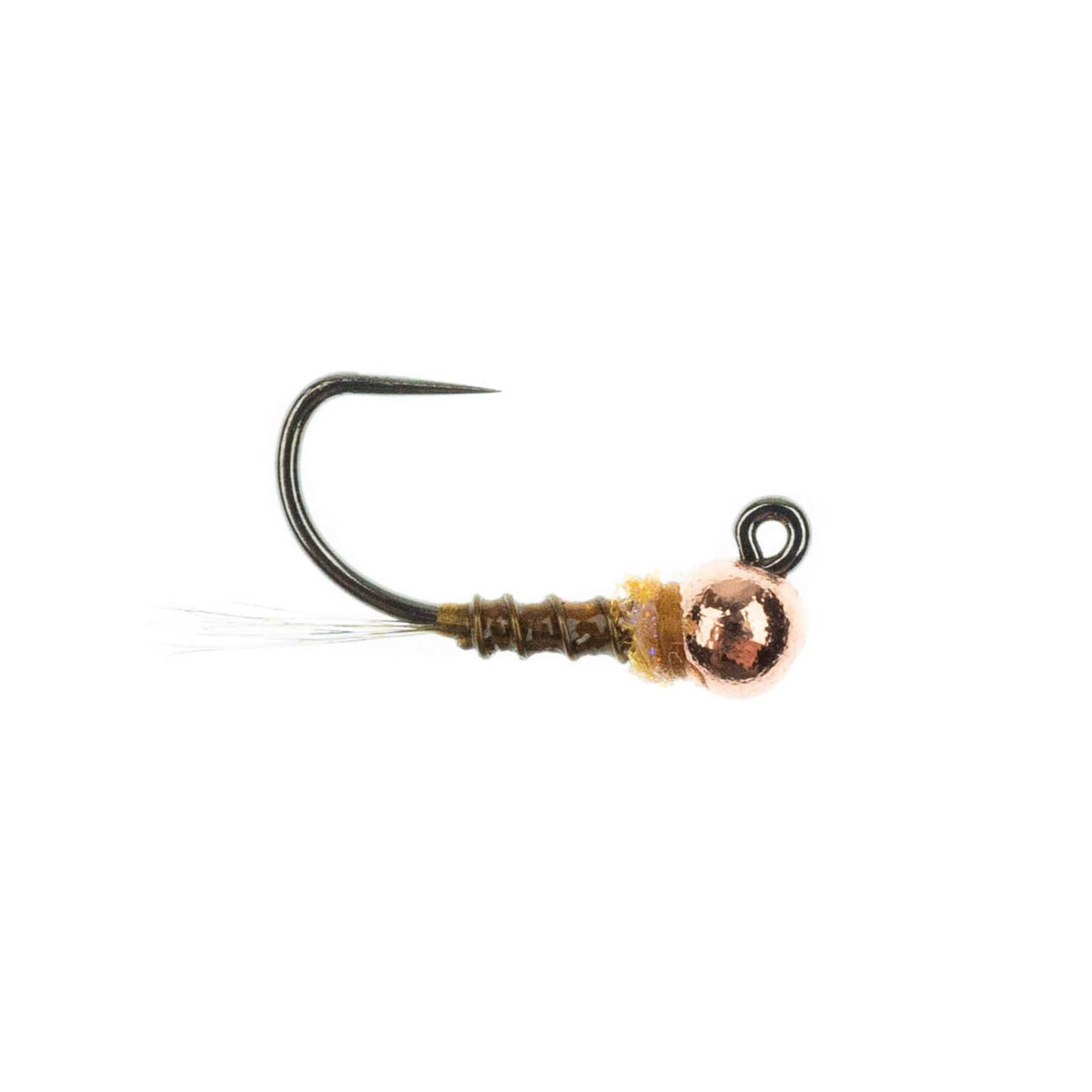 Egan's Thread Frenchie