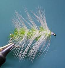 Estaz Wooly Worm