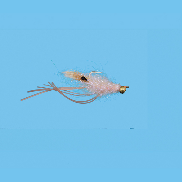 Fly Fishing for Redtail Surfperch - Blog  Fly Shop