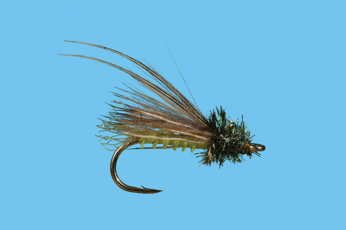 Hot Creek Caddis