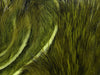 Micro Rabbit Strips