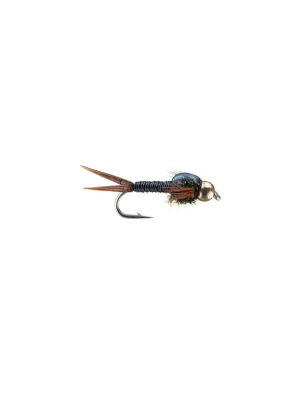 BH Epoxy Back Copper Nymph