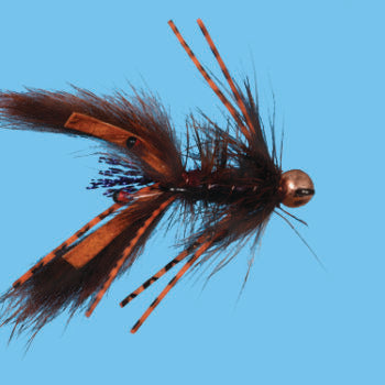 Mud Bug Crayfish