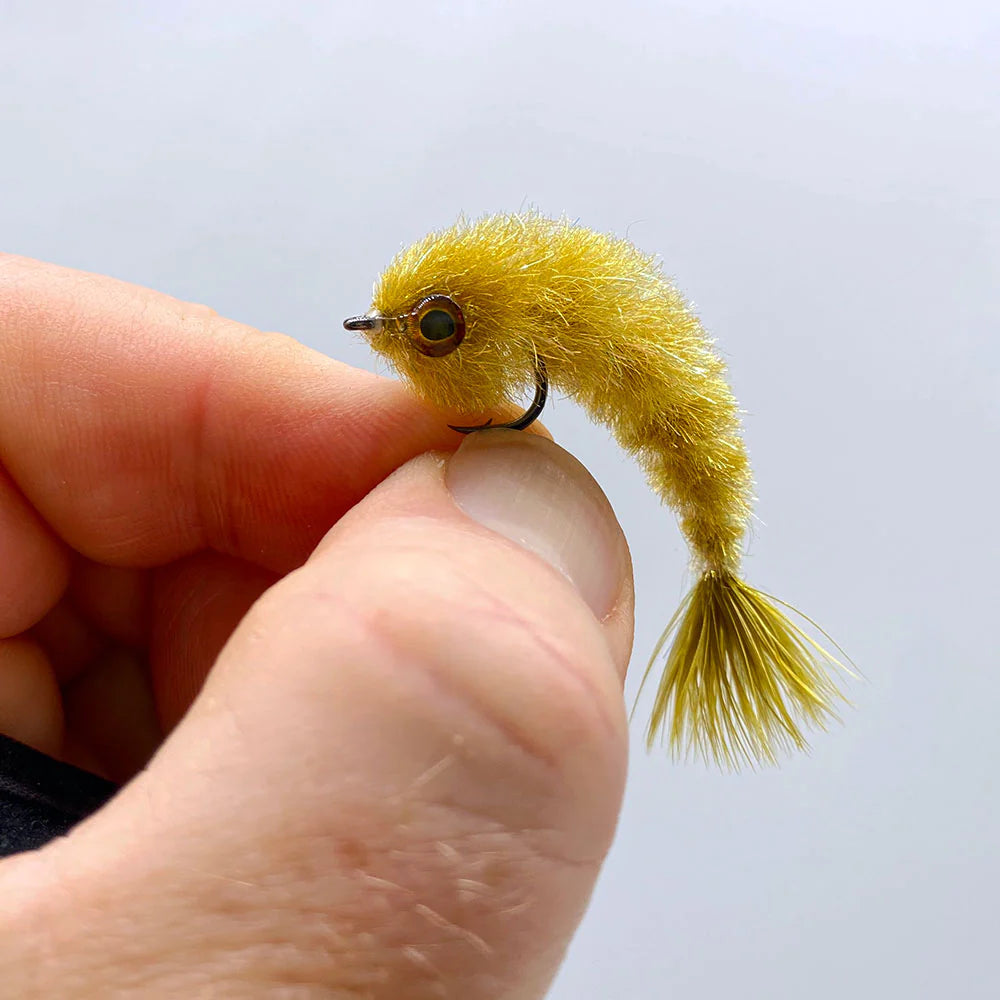 Chocklett's Minnow Changer