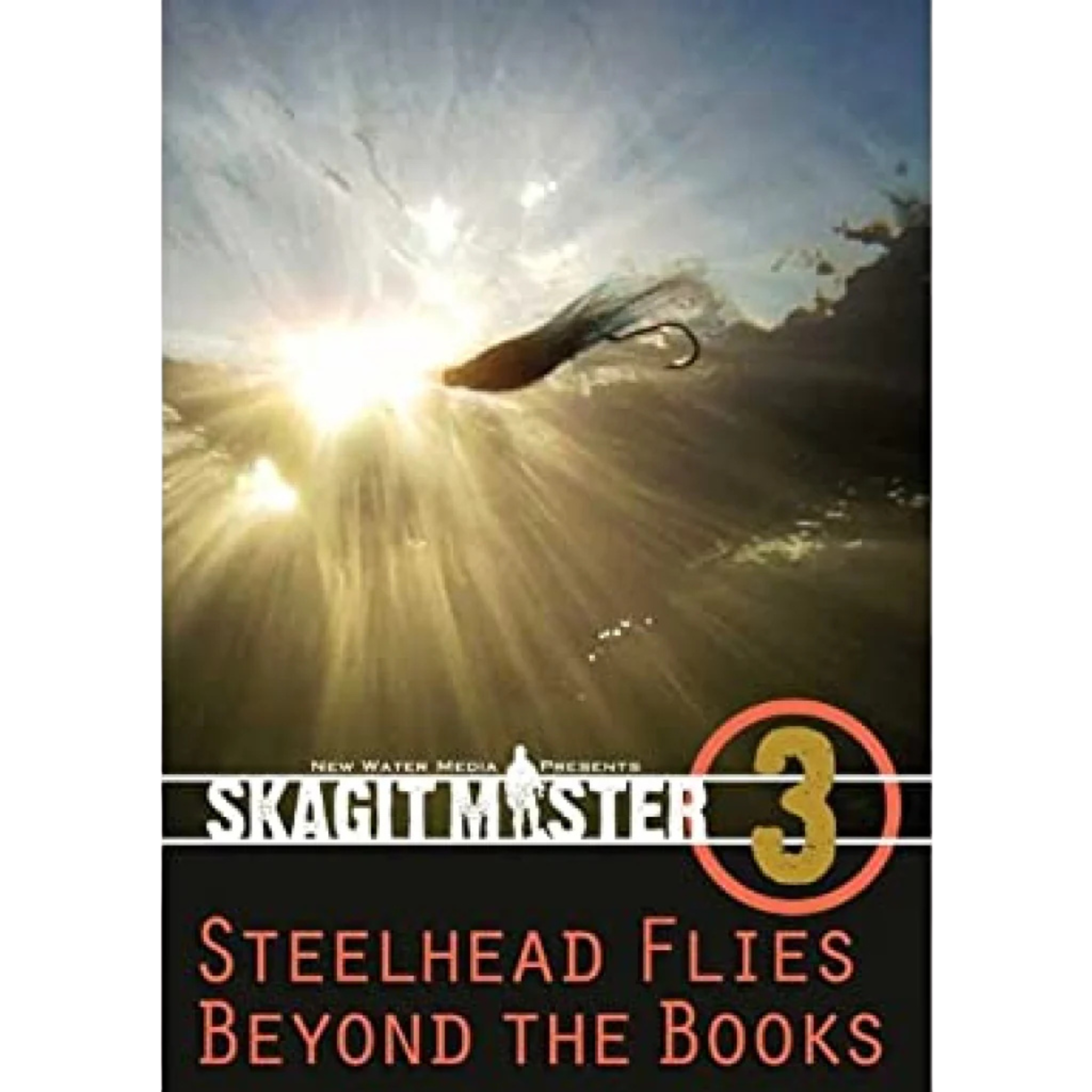 Skagit Master 3 DVD