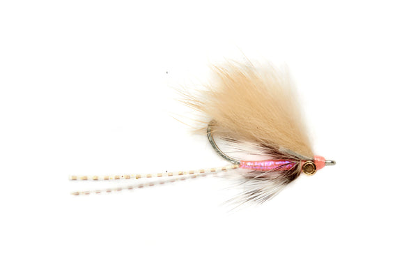 Stand Up Shrimp #4