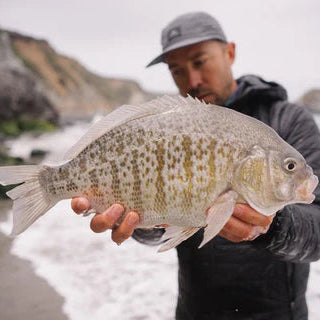 Echo Boost Beach Surf Outfit