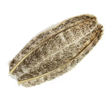 Turkey Wing Quill