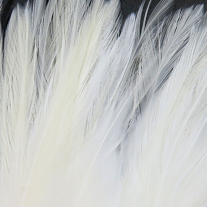 UV2 Strung Saddle Hackle