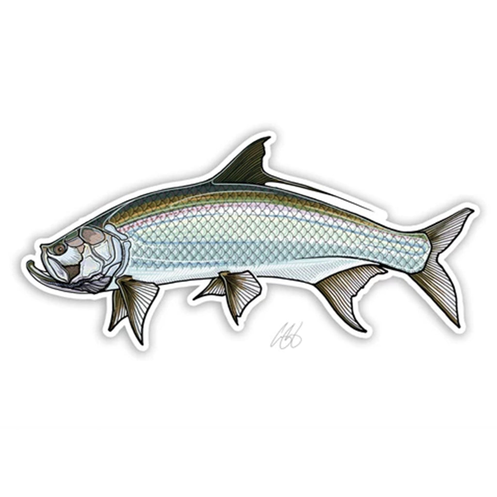 Casey Underwood Fish Decal - Salt Water