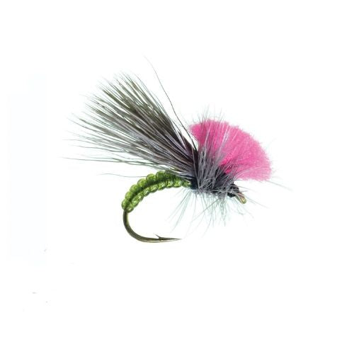 Clown Shoe Caddis – Lost Coast Outfitters