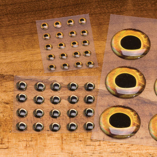 Fish Skull Living Eyes