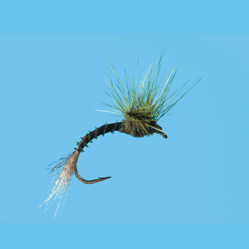 Green Drake Pull Over