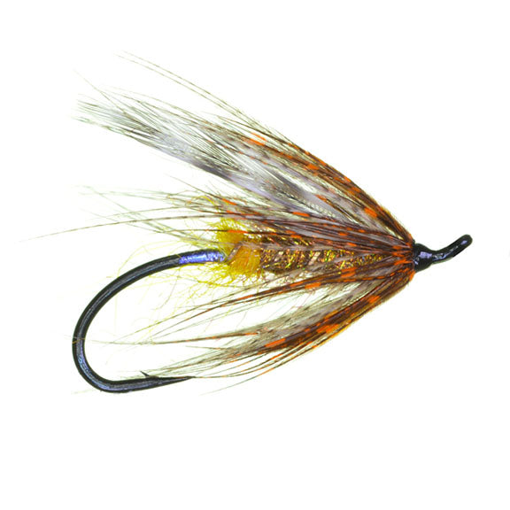 Hartwick's Brown Hilton