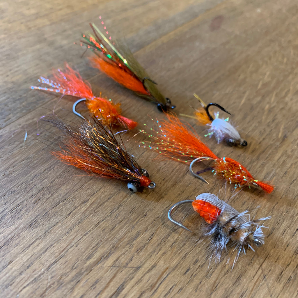 Surf Perch Fly 6 Pack – Lost Coast Outfitters