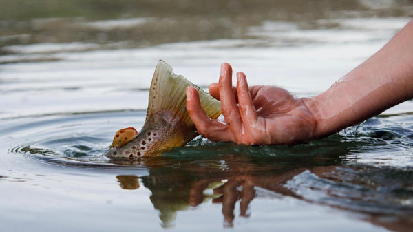 May 9 @12pm-George Revel: Rigging for Trout