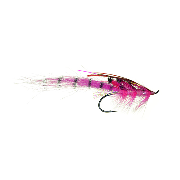 Jon's Motion Prawn Pink