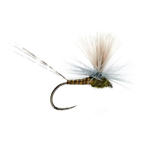 Lexi's Get 'er Dun May