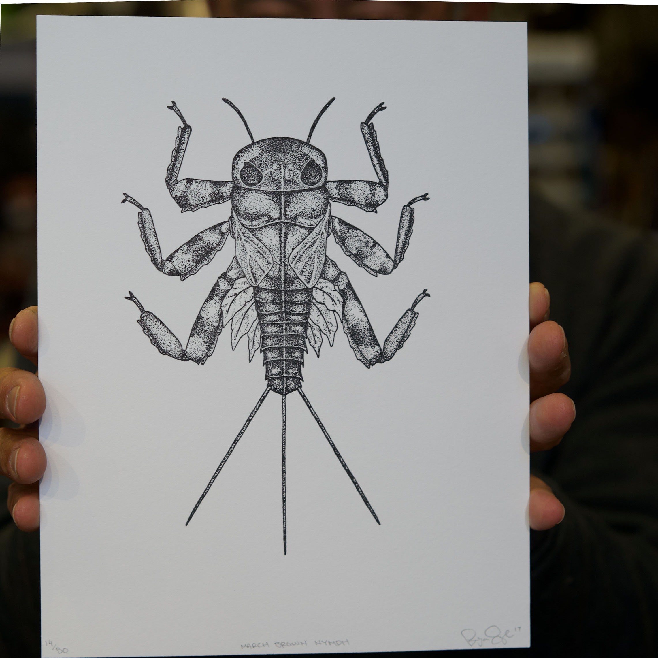 Ben Engle March Brown Art