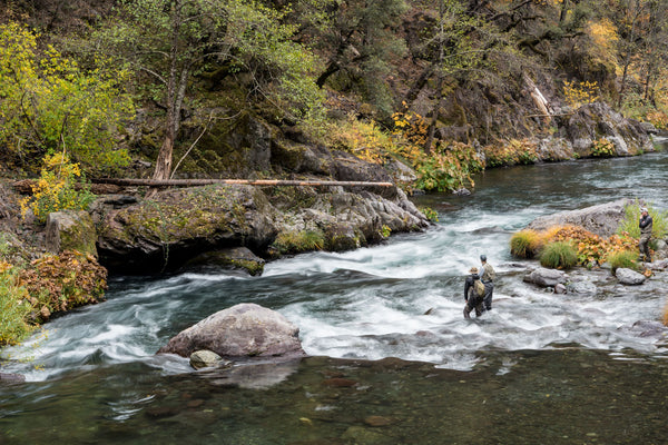 McCloud River Fly Selection