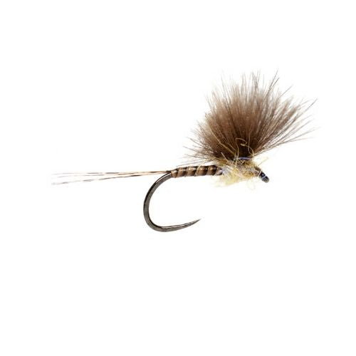 McPhail CDC Olive Quill