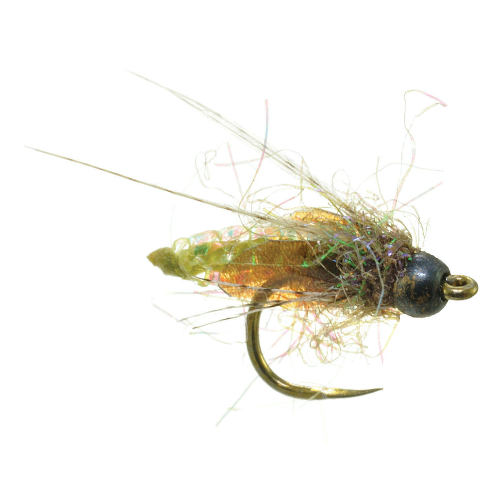 Nitro Caddis