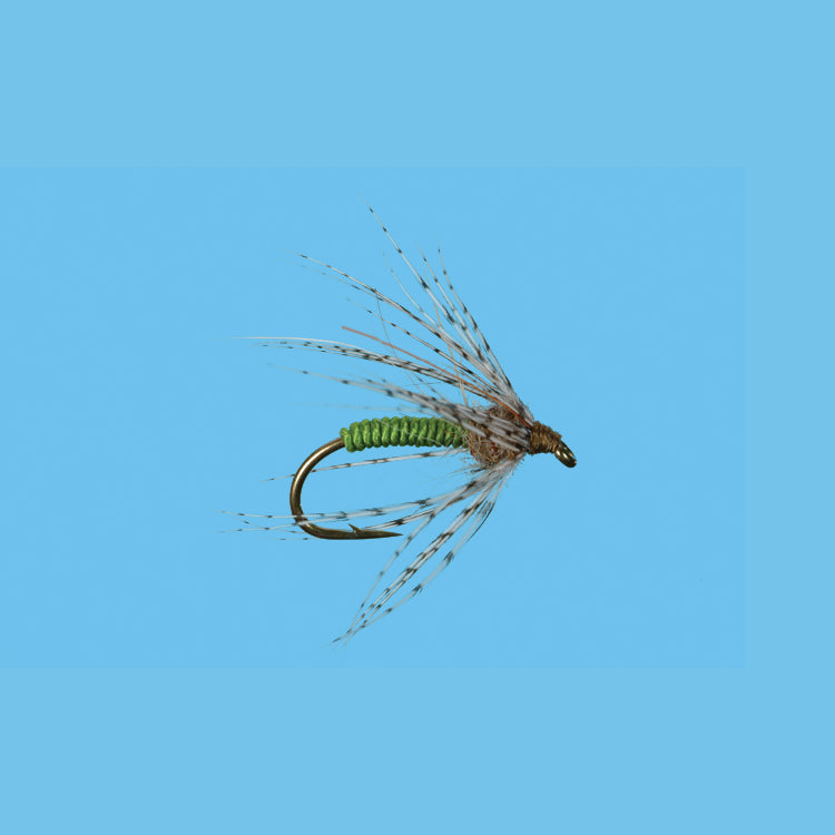 Olive Soft Hackle