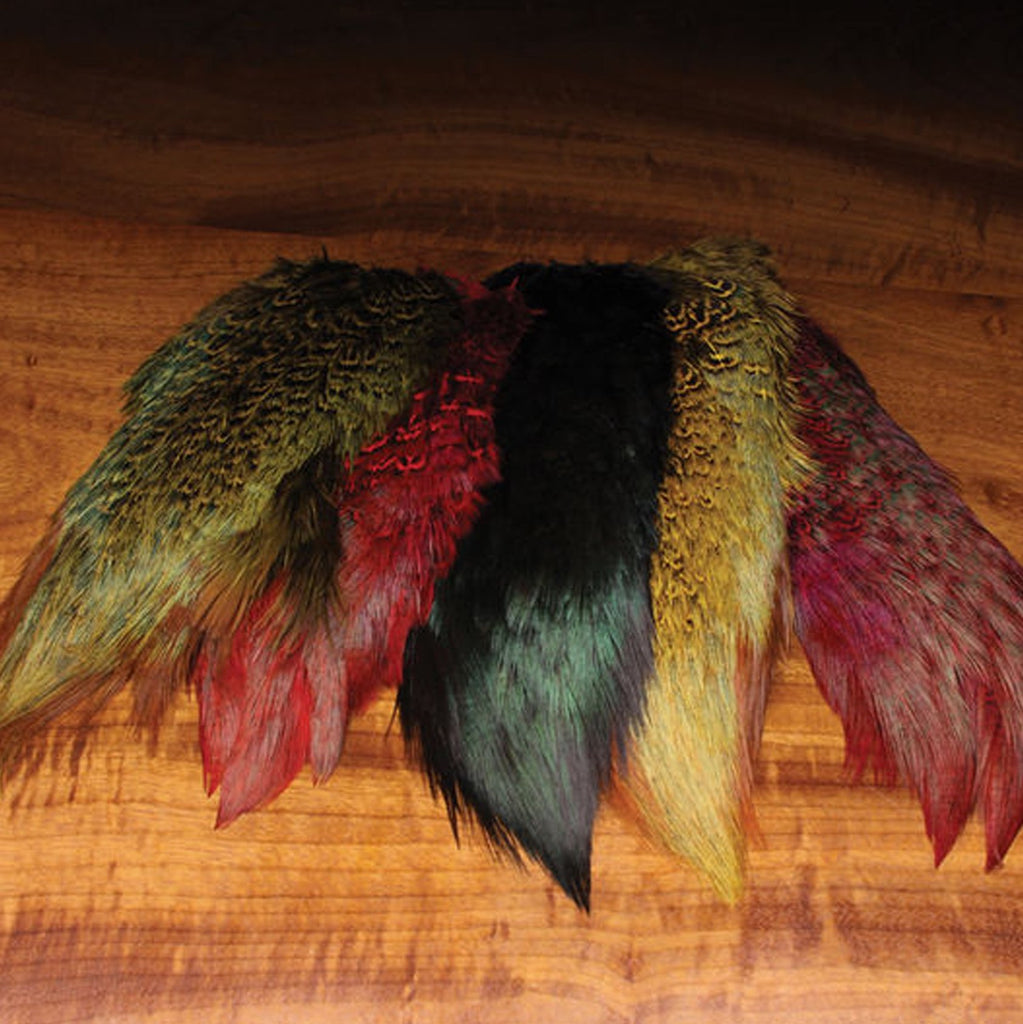 Ringneck Pheasant Rump Patch