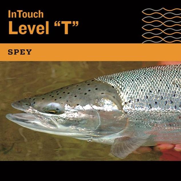 Rio InTouch Tungsten 30ft Shooting Head