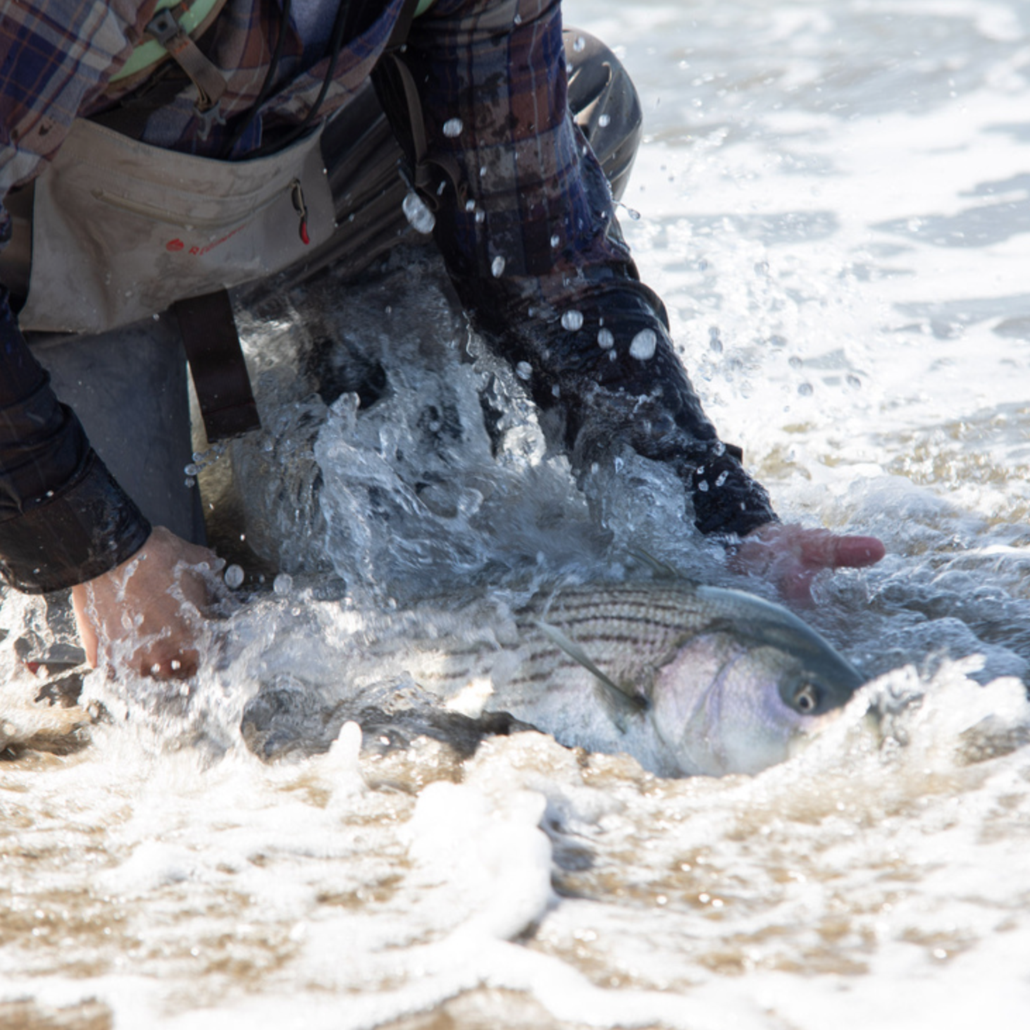 Lost Coast Outfitters Surf Fly Rod | Ocean Beach