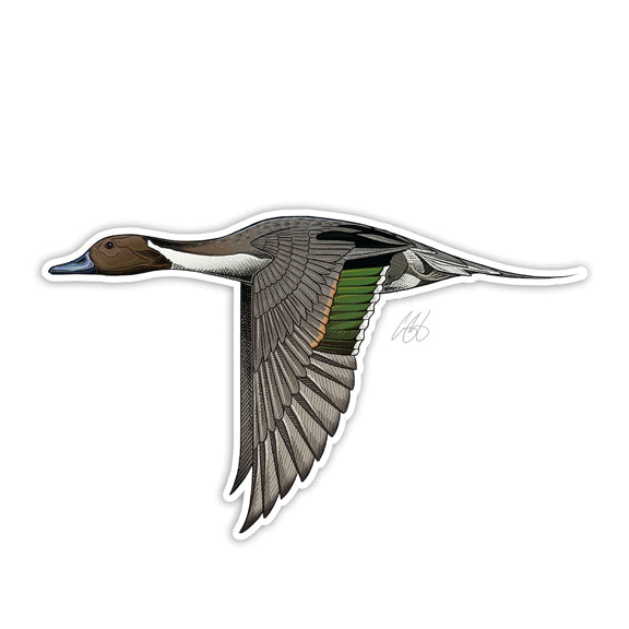 Casey Underwood Bird Decal