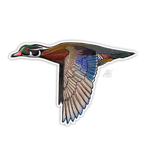 Casey Underwood Bird Decal