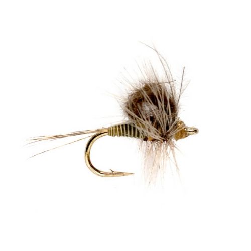 CDC Loopwing Quill Emerger BWO