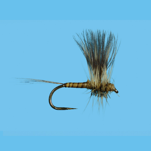 CDC Thorax Green Drake