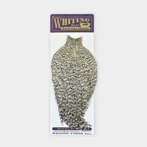 Whiting American Rooster Cape