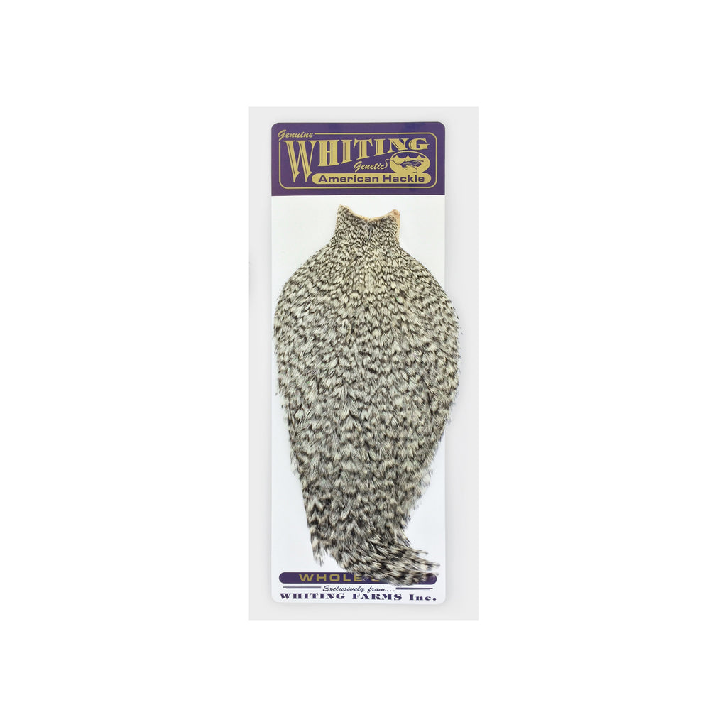 Whiting American Rooster Cape