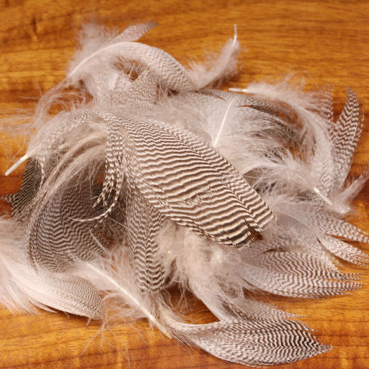 Pintail Flank Feathers