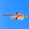 Ascension Bay Mantis Shrimp - Golden Sand 