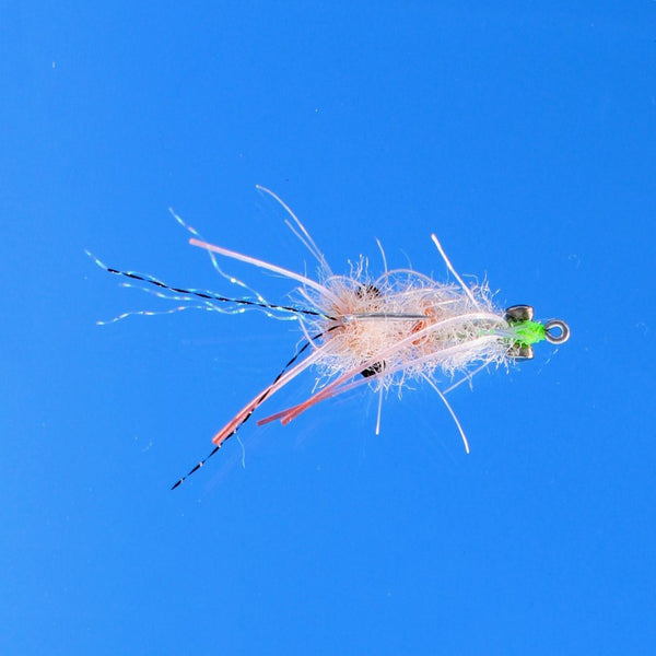 Ascension Bay Mantis Shrimp- Ghost 