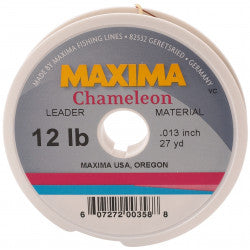 Maxima Chameleon